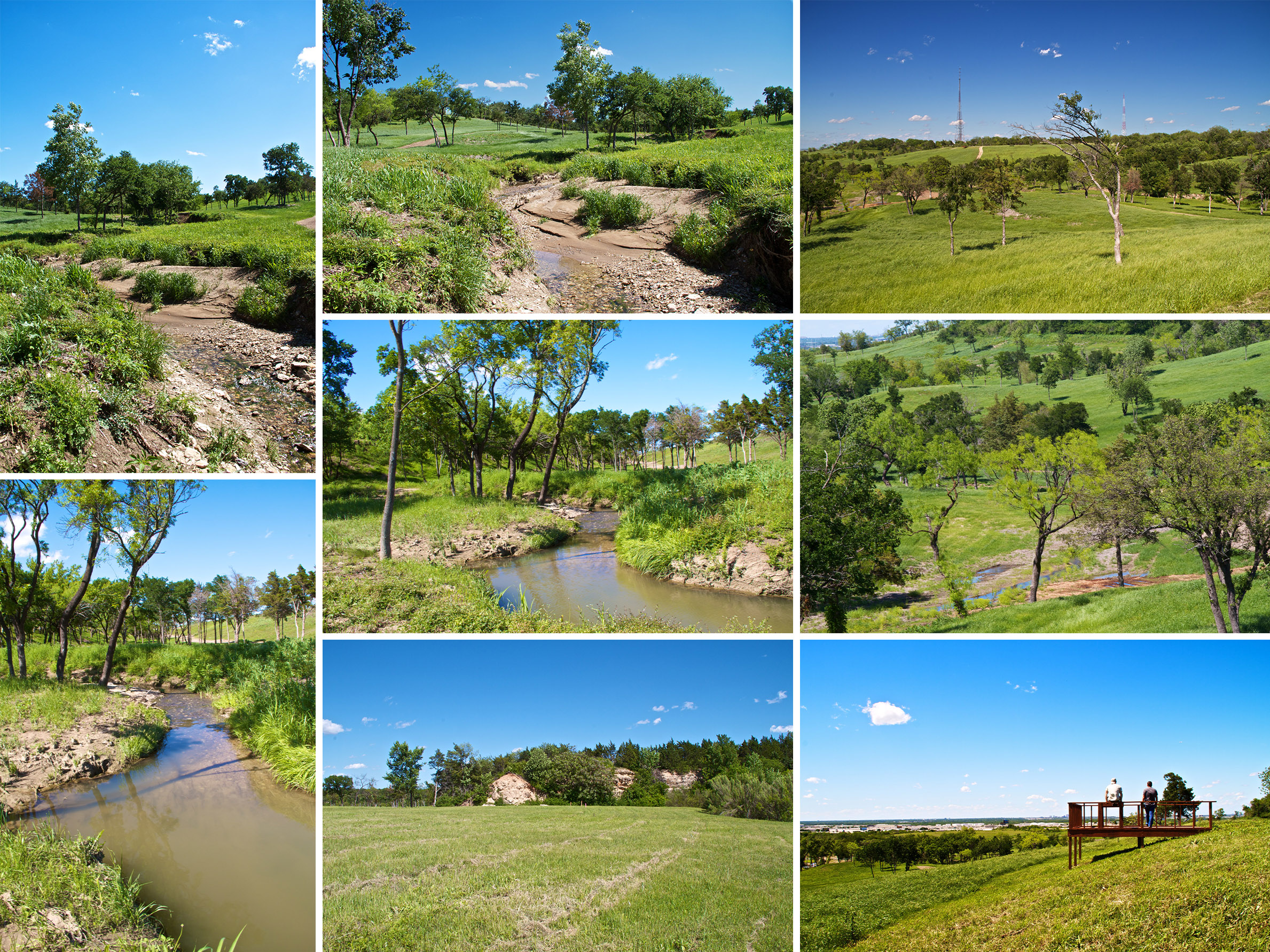 Collage of 8 photographs showcasing the existing site conditions of 'The Canyon' in Oak Cliff: undulating hills, shallow creeks, native grasses, trees, and natural elements.